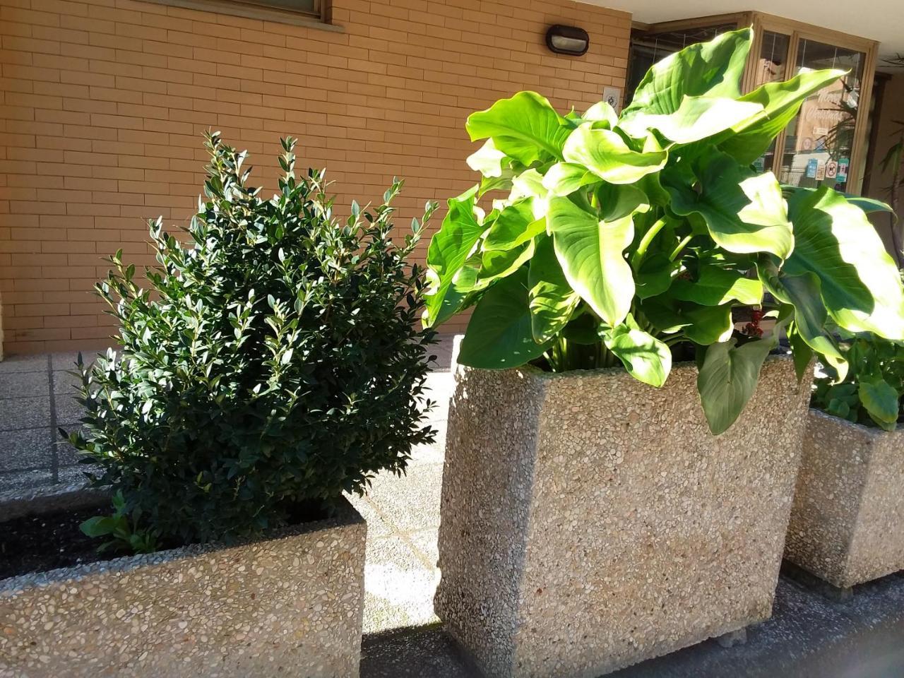 Albergo Nyers Perugia Exterior photo