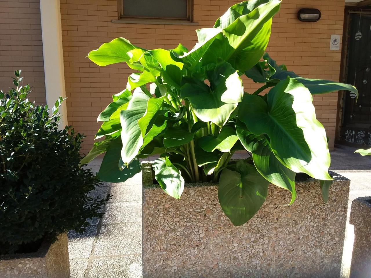 Albergo Nyers Perugia Exterior photo